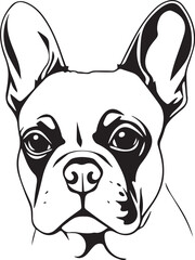 French bulldog. Hand drawn vector illustration	