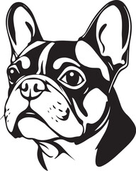 French bulldog. Hand drawn vector illustration	