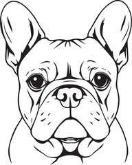 French bulldog. Hand drawn vector illustration	