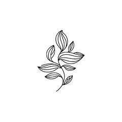 Fototapeta premium Minimalist Line Art Botanical Branch on White Background