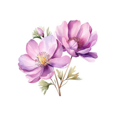Obraz premium Lavender and Pink Wildflower Clipart – Watercolor Botanical Flowers PNG, Transparent Background, 300 DPI Floral Illustrations for Wedding Invitations, Scrapbooking, Cards, and Sublimation Designs