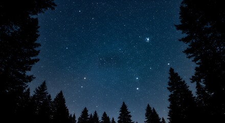 Fototapeta premium Majestic Night Sky over Silhouetted Pine Trees A Breathtaking Starry Night Landscape Photography