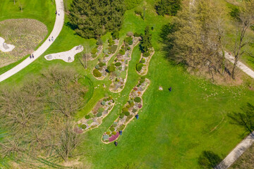 Springtime in the park. green meadows and trees