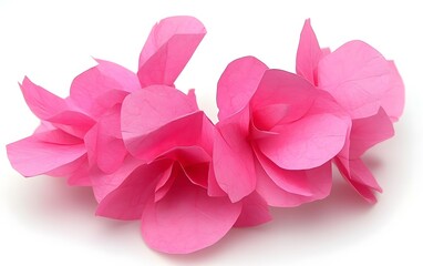 Fototapeta premium Vibrant Pink Paper Flowers Wreath Closeup