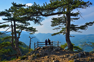 Tourists on the Banjska Stena viewpoint, Tara National Park, Serbia