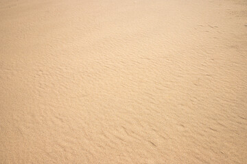 Fine beach sand smooth texture in summer sun close up photo. Nice beige background for your projects