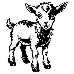 goat kid black color on white vector. 