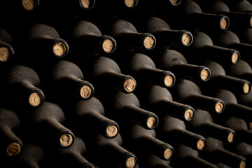 Rows of dust-covered wine bottles with corks intact are neatly stacked in a dimly lit cellar