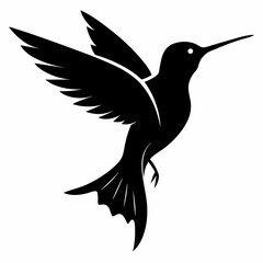 Fototapeta premium hummingbird roaring silhouette white