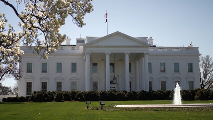 Obraz premium White House in Washington, DC showcases blooming flowers and a fountain during spring. The sun shines brightly as the federal building stands tall against a clear sky.