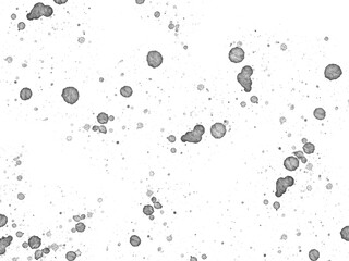 water drops on black background