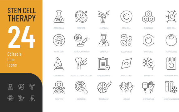 
Stem Cell Therapy Line Editable Icons set. Vector illustration in modern thin line style of science related icons: type of human body cells, stages of stem cell therapy, and more. 