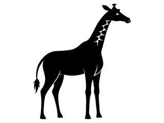 Giraffe Silhouette Vector & Wildlife Animal Icon SVG