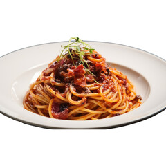Spaghetti with Tomato Sauce with Meat Sauc