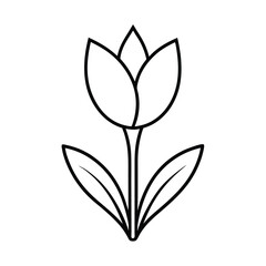 tulip flower of the valley flower line art vector illustration