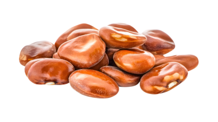 Fresh Fava Bean Isolated on Transparent Background - High-Quality Stock Image for Professionals