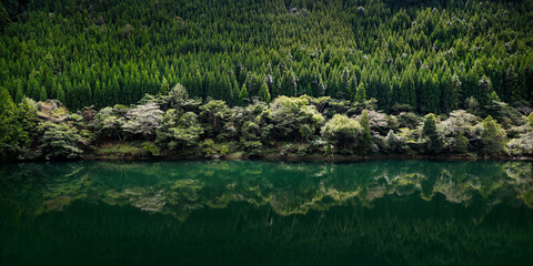 Reflection of Forest in a lake in Japan before autumn season