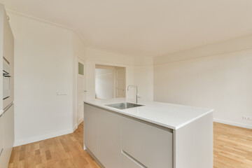 A sleek and contemporary kitchen with a minimalist layout showcasing a white countertop and cabinetry, emphasizing spaciousness and functionality.