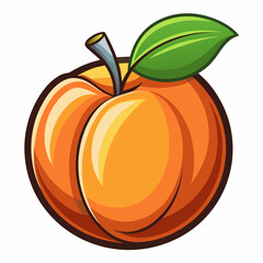 pumpkin isolated on white