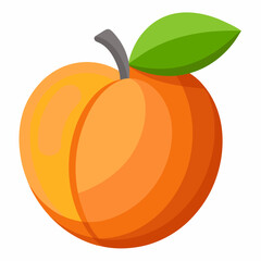 pumpkin isolated on white