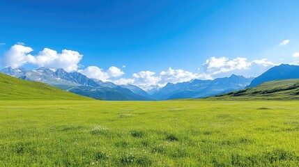 Fototapeta premium Lush Alpine Meadow, Mountain View