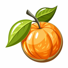 orange fruit isolated on white