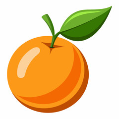 vector illustration of orange fruit