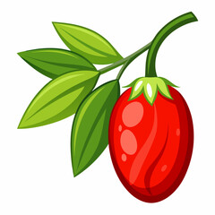 tomato vector illustration