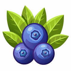 blueberries with leaves