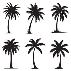 Set of Vector Black silhouettes of palm trees on a white background.
