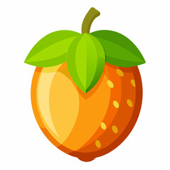 vector illustration of an orange