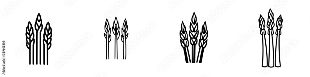 Poster collection of minimalist line icons representing various stages of asparagus growth for use in desig