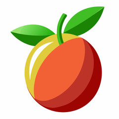 vector illustration of an orange