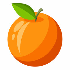 orange fruit vector illustration