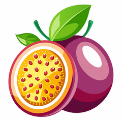 vector illustration of an orange