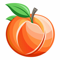 vector illustration of an orange