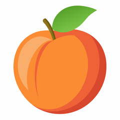 vector illustration of an orange fruit