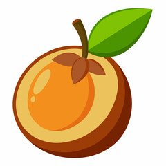 vector illustration of an orange fruit