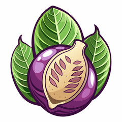 vector illustration of a cabbage