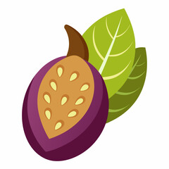 vector illustration of a green leaf