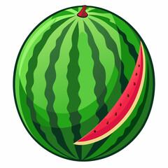 illustration of watermelon