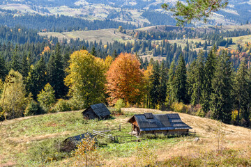 Wooden huts on a sunny mountain meadow against the backdrop of mountains with autumn forest.