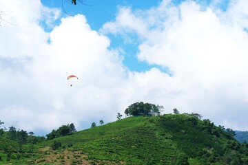 A paraglider soars over lush green hills under a bright sky. Perfect for promoting adventure tourism, outdoor sports, mental well-being, and active lifestyle campaigns.