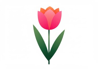 Stylized tulip illustration with vibrant pink and orange petals on clean white background in minimalist design