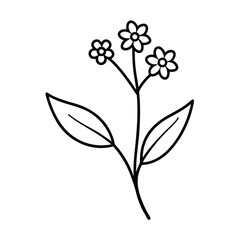 sweet alyssum flower of the valley flower line art illustration
