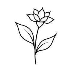 statice flower line art vector art illustration