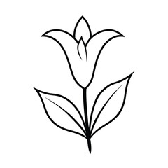 spring gentian flower line art vector art illustration