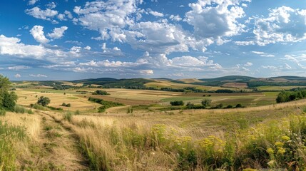Fototapeta premium Beautiful road winds through a lush green field with a clear blue sky landscape