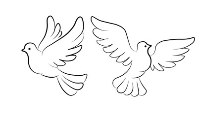 silhouettes of doves and pigeons