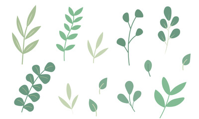 Vector botanical decor elements. Set of floral leaves.